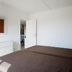 Apartman Neptuno Costadeje Costa Adeje (Tenerife)